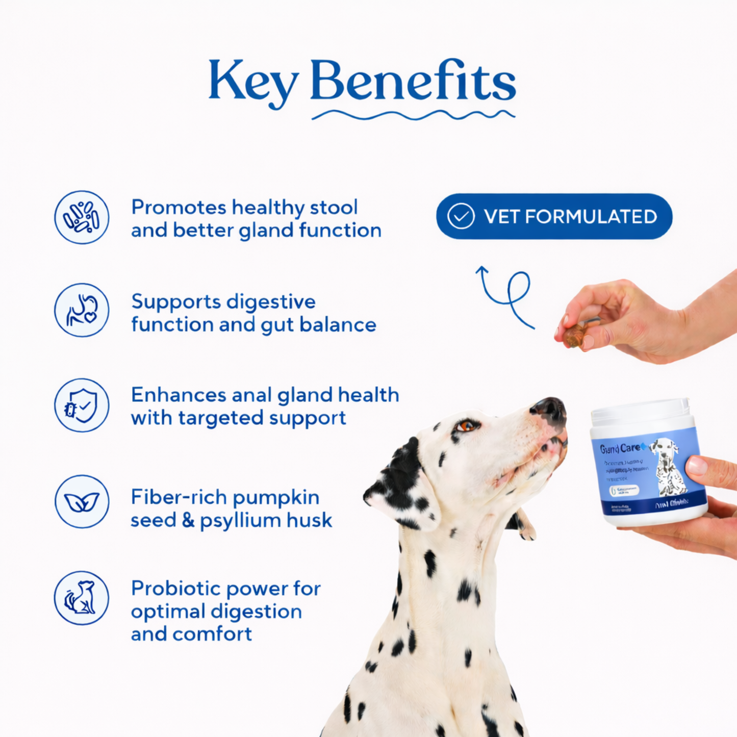 GlandCare+: Anal Gland Probiotic Chews