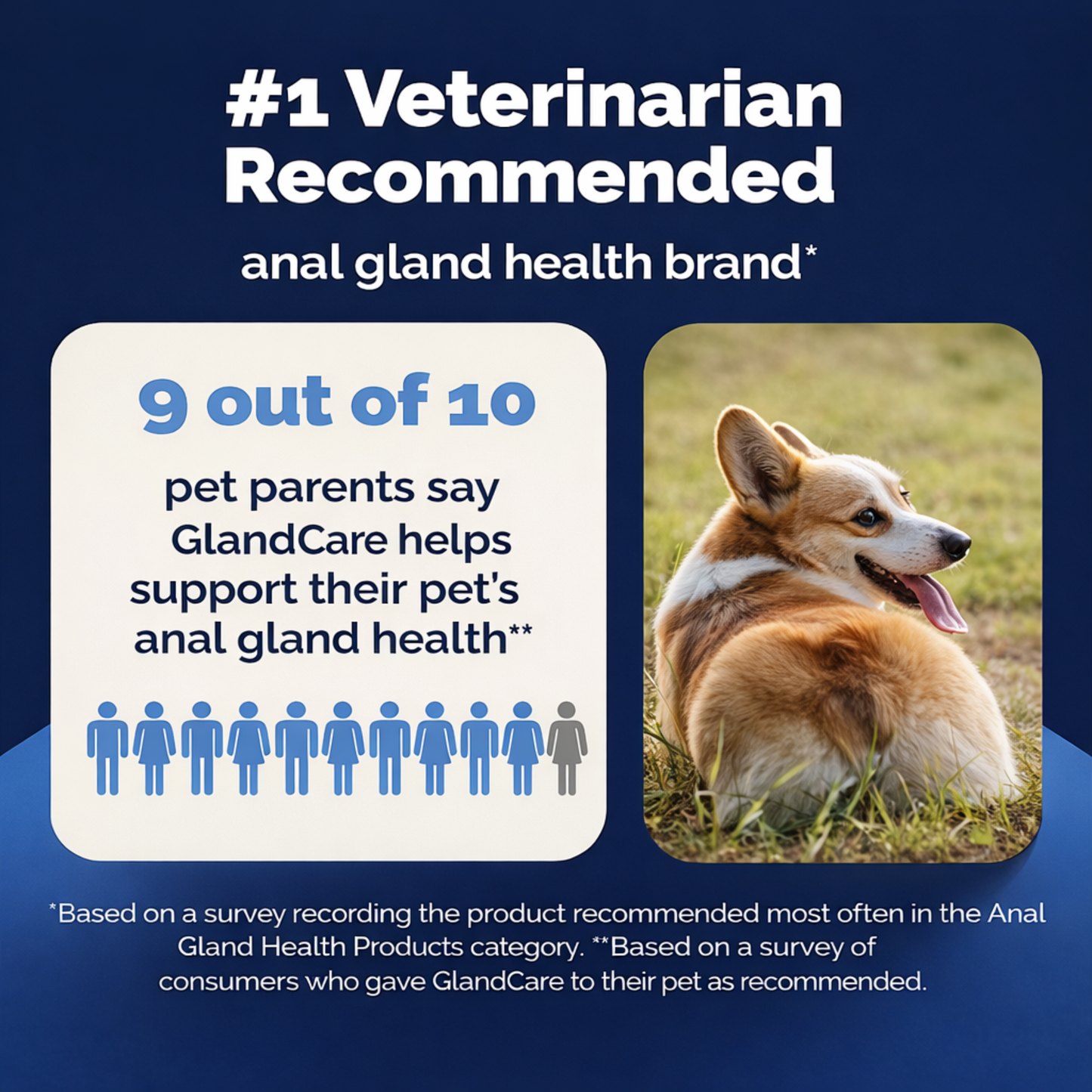 GlandCare+: Anal Gland Probiotic Chews