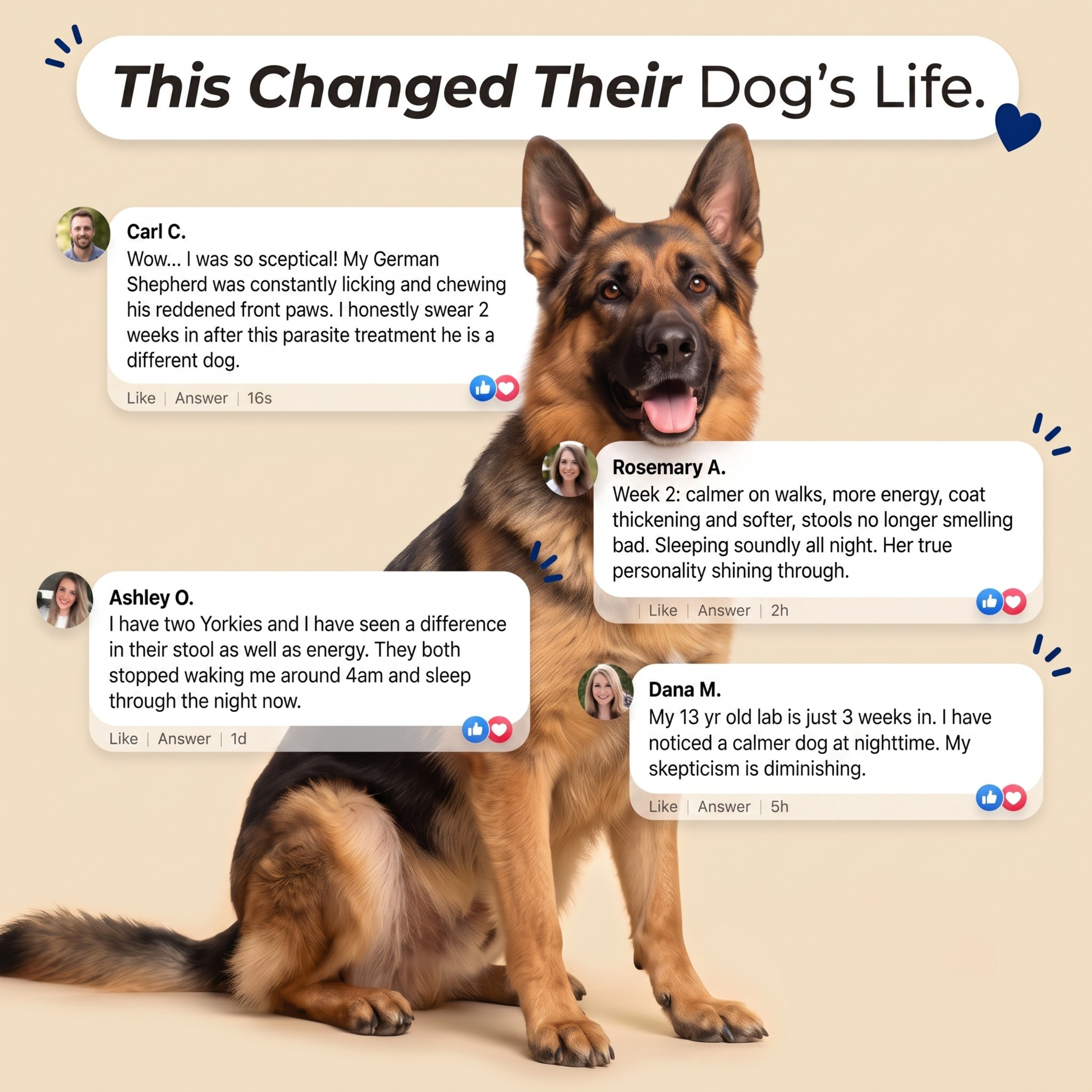 Doggy Labs™ Gut Reset Chews