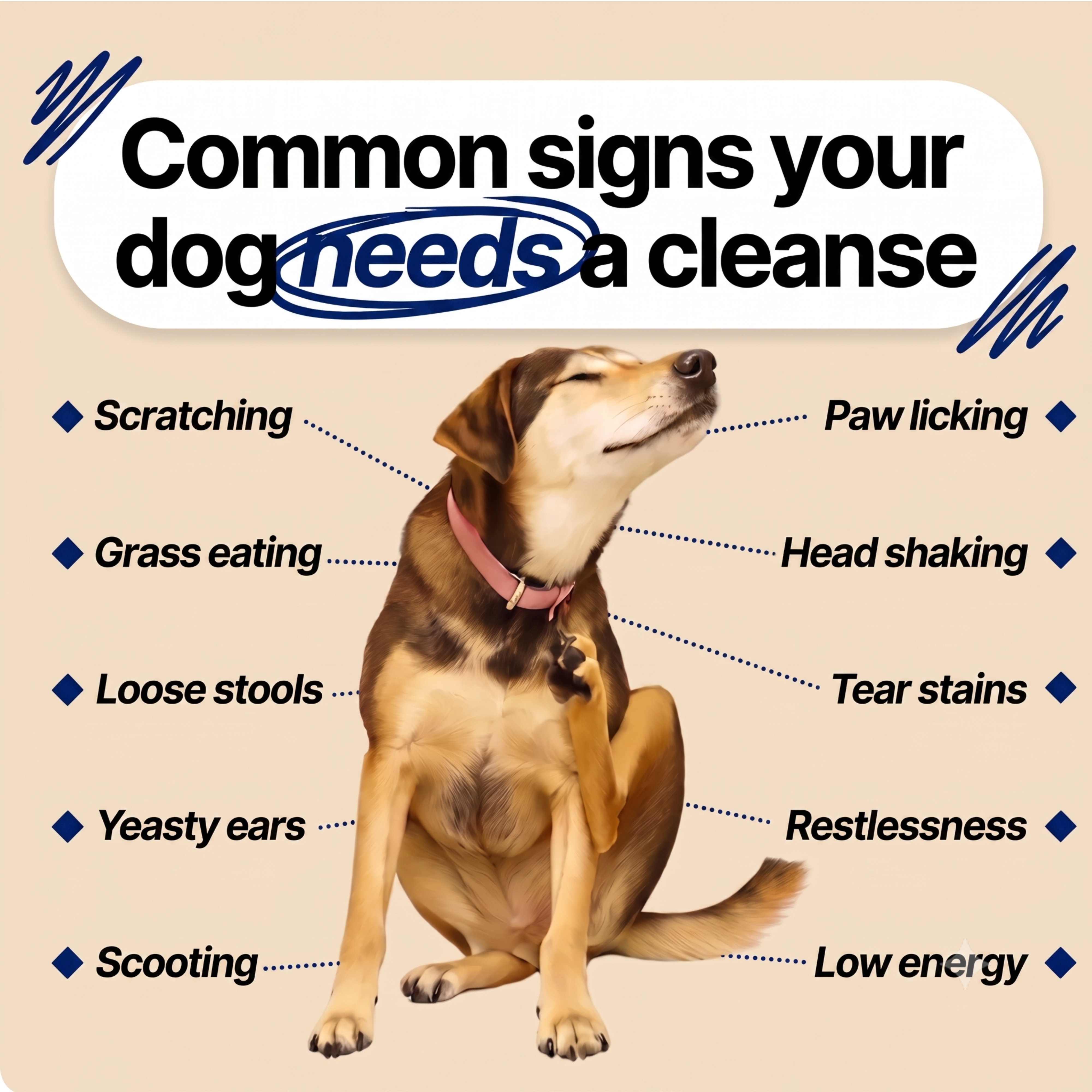 Doggy Labs™ Gut Reset Chews
