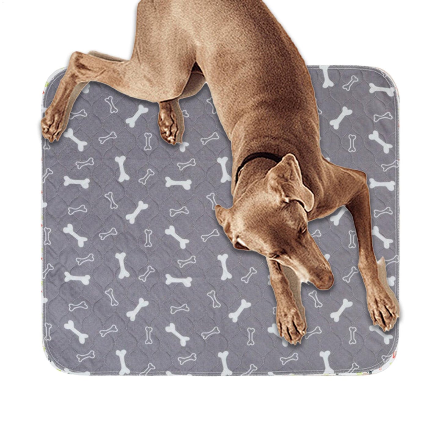 Dog Pee Pad