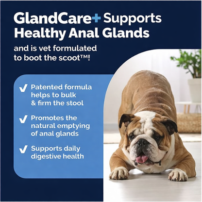 Doggy Labs | Anal Gland Probiotic Chews