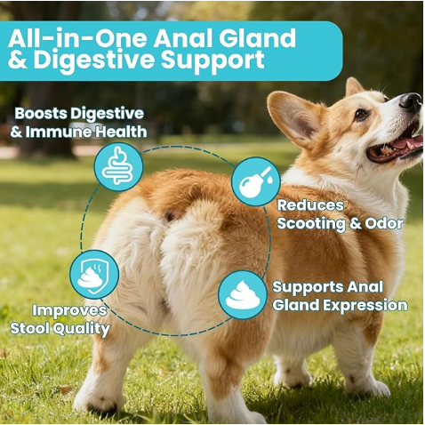 Anal Gland Chews