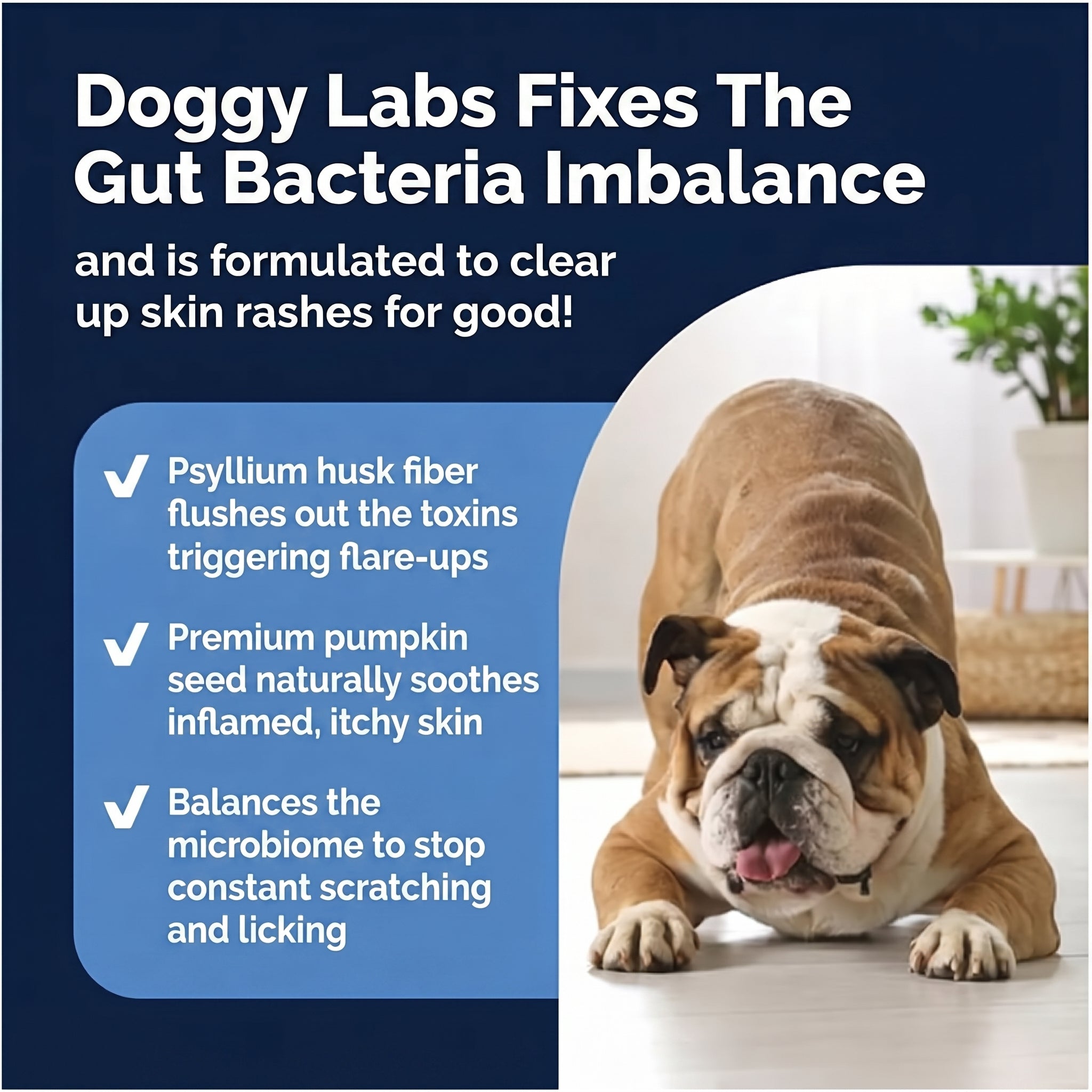 Doggy Labs™ Gut Reset Chews