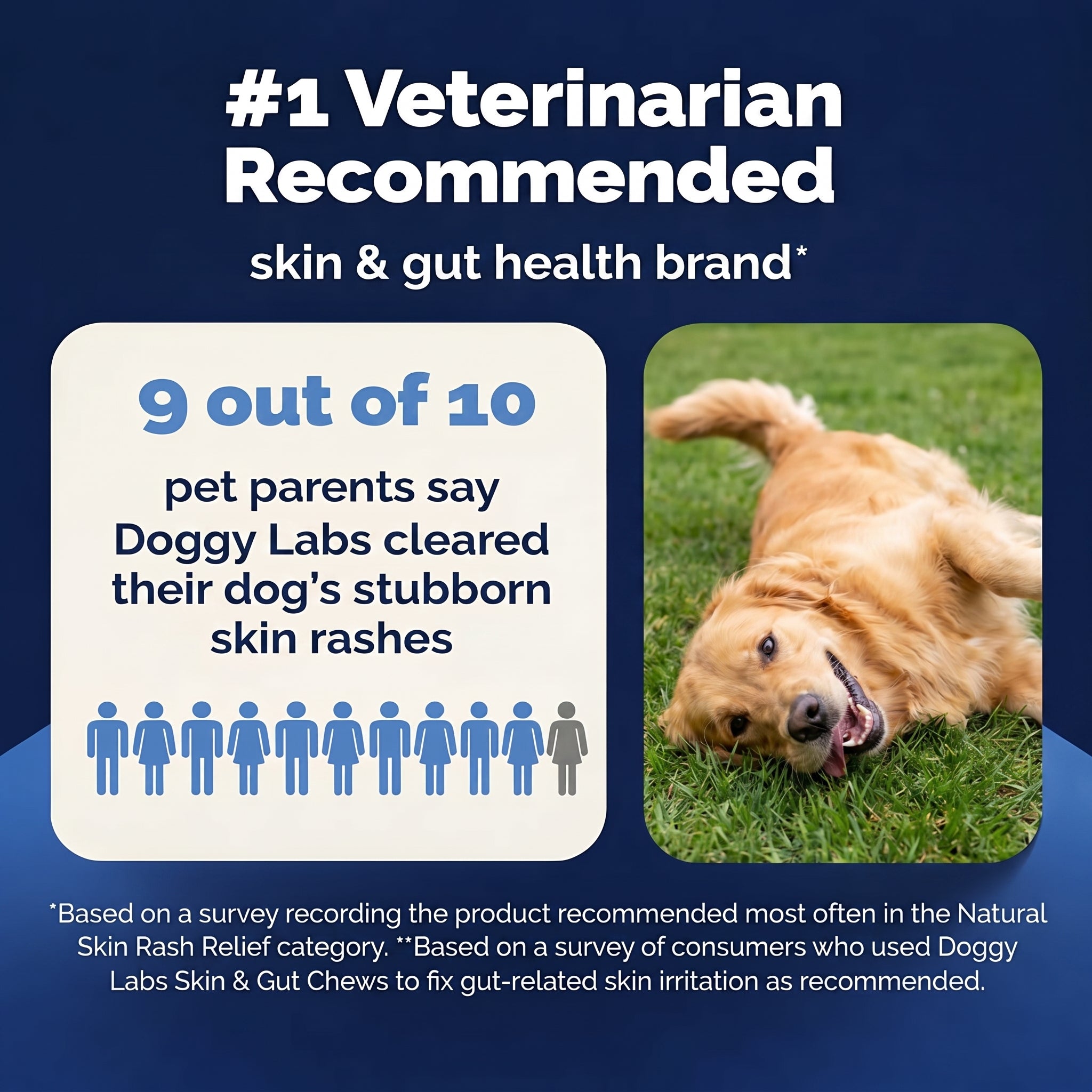 Doggy Labs™ Gut Reset Chews
